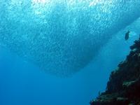 2013_09_01_A_07.jpg