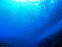 2013_09_01_A_08.jpg