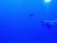 2013_09_01_BB_01.jpg
