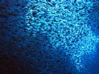 2013_09_08_A_03.jpg