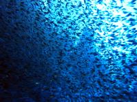2013_09_08_A_04.jpg