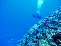 2013_09_08_A_07.jpg