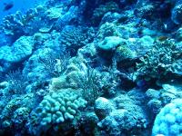 2013_09_08_A_10.jpg