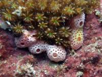 2013_09_09_A_04.jpg
