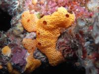 2013_09_09_A_05.jpg