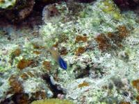 2013_09_09_A_06.jpg