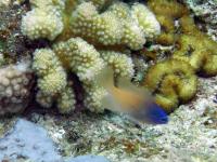 2013_09_09_A_07.jpg