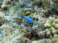 2013_09_09_A_08.jpg