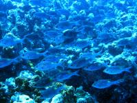 2013_09_09_BB_05.jpg