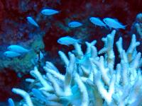2013_09_09_CCC_06.jpg