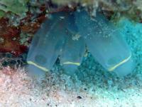 2013_09_09_CCC_07.jpg