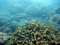2013_10_12_A_01.jpg