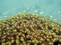 2013_10_12_A_04.jpg