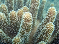 2013_10_12_A_06.jpg