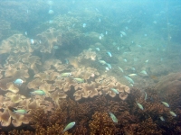 2013_10_12_BB_02.jpg
