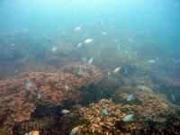 2013_10_12_BB_03.jpg