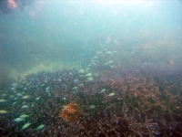 2013_10_12_BB_04.jpg