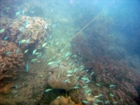 2013_10_12_BB_05.jpg
