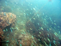 2013_10_12_BB_06.jpg