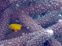 2013_10_12_BB_07.jpg