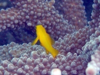2013_10_12_BB_08.jpg