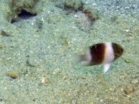 2013_10_12_BB_10.jpg