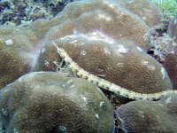 2013_10_12_BB_11.jpg