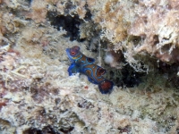 2013_10_12_BB_15.jpg