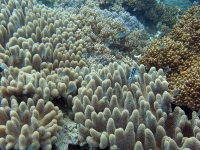 2013_10_13_A_01.jpg