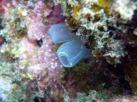 2013_10_13_A_03.jpg