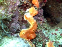 2013_10_13_A_04.jpg