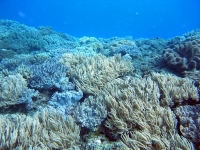 2013_10_13_A_05.jpg