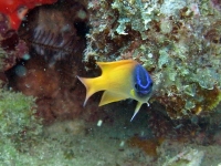 2013_10_13_A_06.jpg