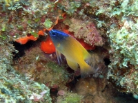 2013_10_13_A_07.jpg