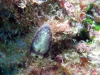 2013_10_13_A_08.jpg