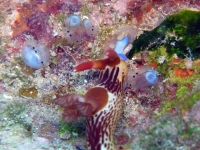 2013_10_13_A_10.jpg