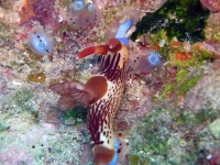 2013_10_13_A_11.jpg