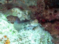 2013_10_13_BB_02.jpg