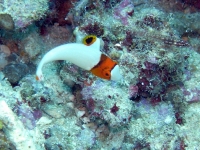 2013_10_13_BB_03.jpg