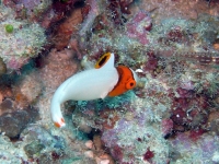 2013_10_13_BB_04.jpg