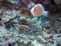 2013_10_13_BB_06.jpg