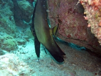 2013_10_13_BB_07.jpg
