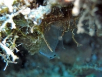 2013_10_13_CCC_01.jpg