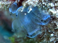 2013_10_13_CCC_04.jpg