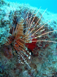 2013_10_13_CCC_05.jpg