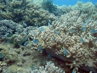 2013_10_13_CCC_06.jpg