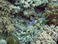 2013_10_13_CCC_07.jpg