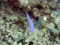 2013_10_13_CCC_08.jpg