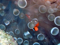 2013_10_13_CCC_10.jpg