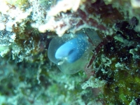 2013_10_13_CCC_12.jpg